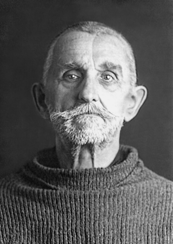 Фотография